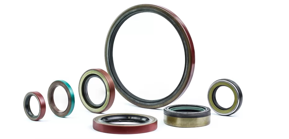 Oil Seals